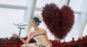 Niccolo Suzhou Presents 'Amor Mio Forever Love' Wedding Show