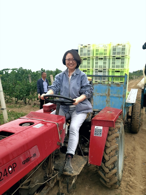 zhang-jing-tractor-copy.jpg