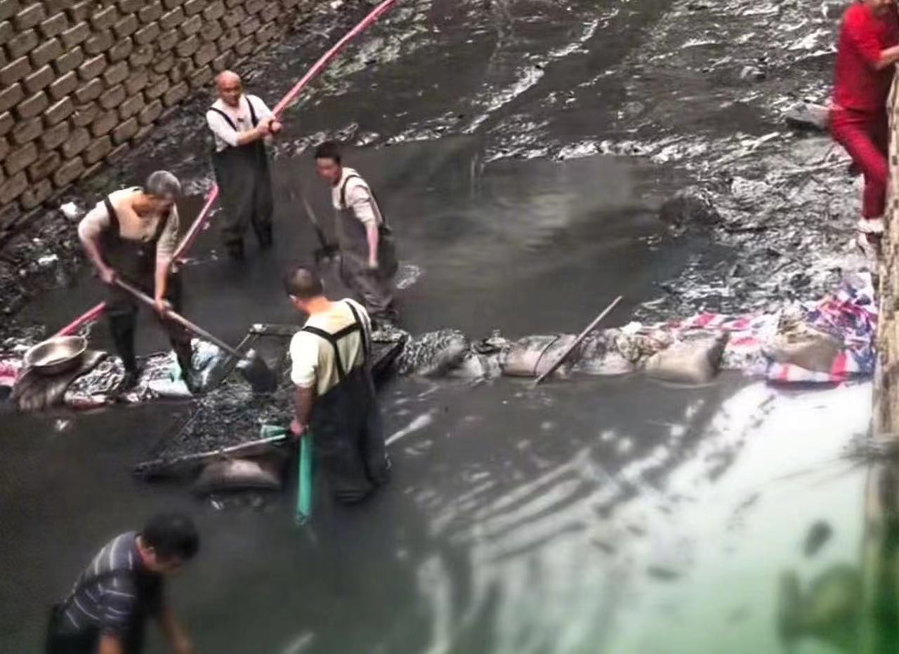 WATCH: Foshan's Underwater Treasure Hunt Takes Unusual Turn