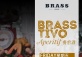 BRASSTIVO