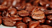 FREE! Exploring Yunnan Coffee: A Hidden Gem of the East