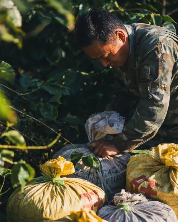 Yunnan-Coffee---04.jpg