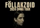 Föllakzoid
