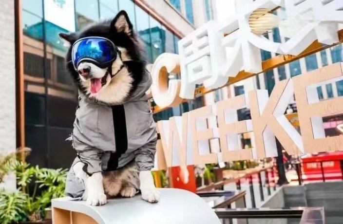 Pet-Friendly Malls in Guangzhou