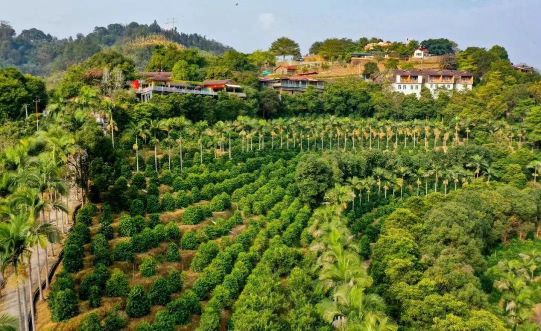 Nan-Keng-Coffee-01.jpg