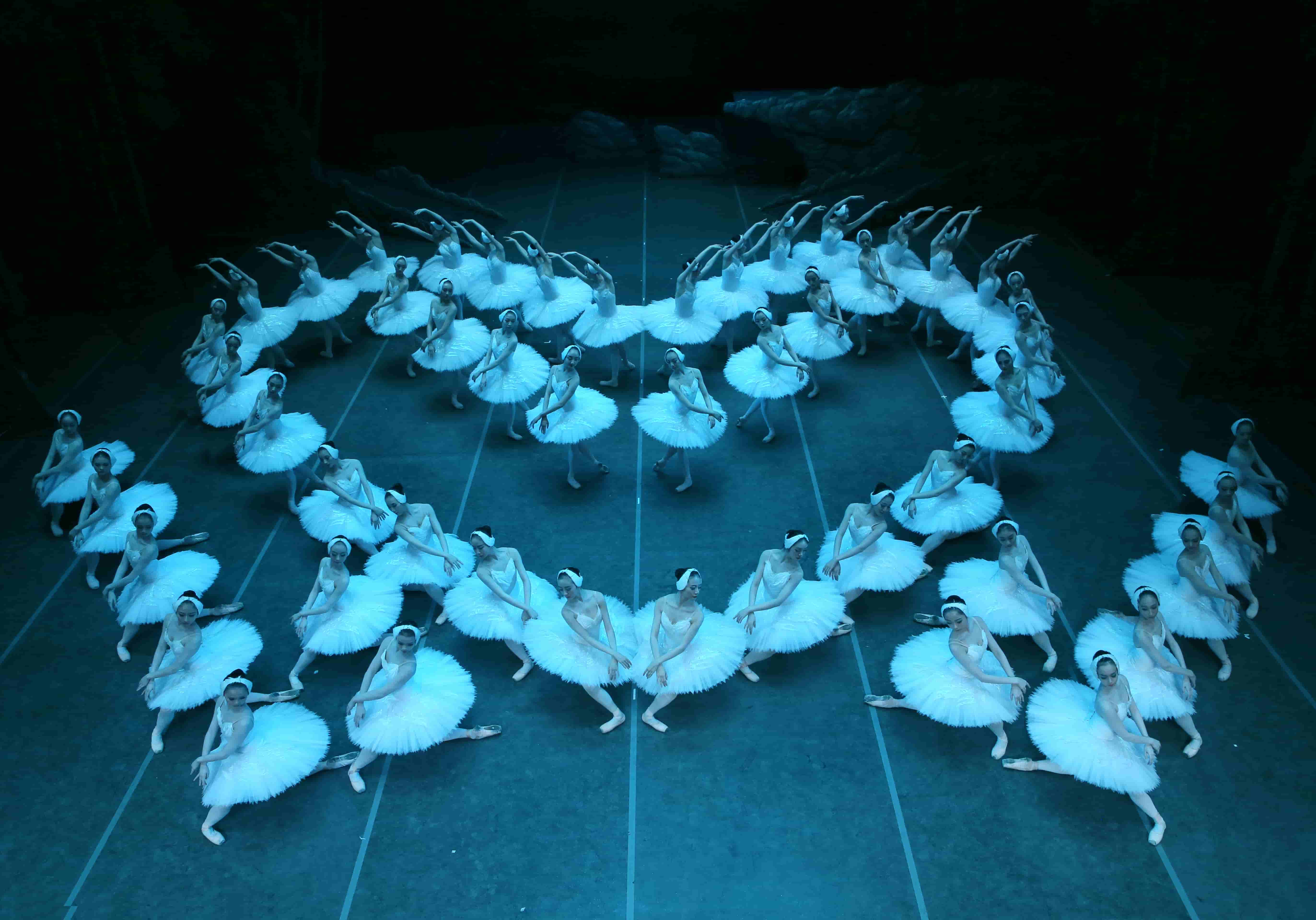 T+ Tickets: Swan Lake, Carmen, Lady M + More!