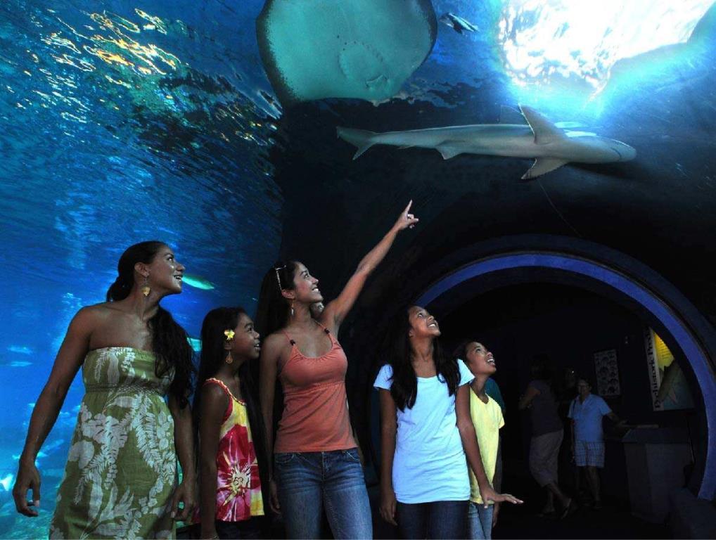 WIN! Underwater Magic at Qinhuangdao Xin'ao Sea World
