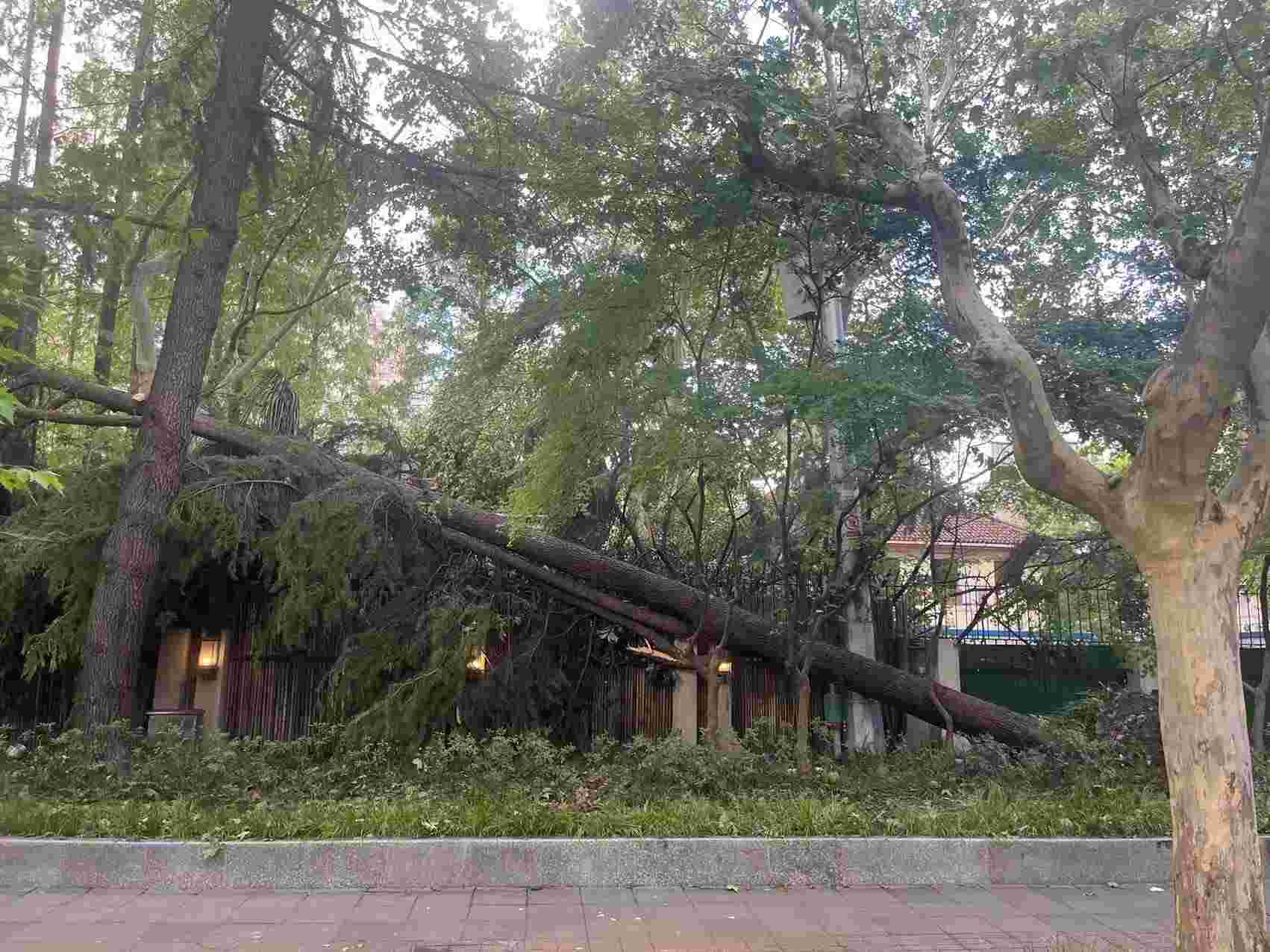 Weixin-Image_20240920170216.jpg