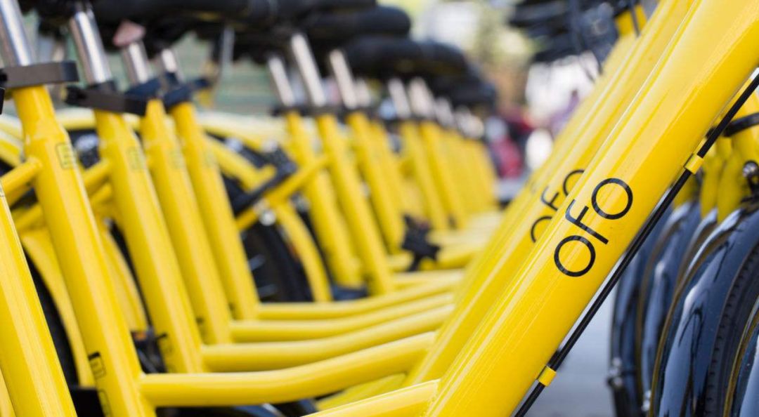 Ofo2.jpeg
