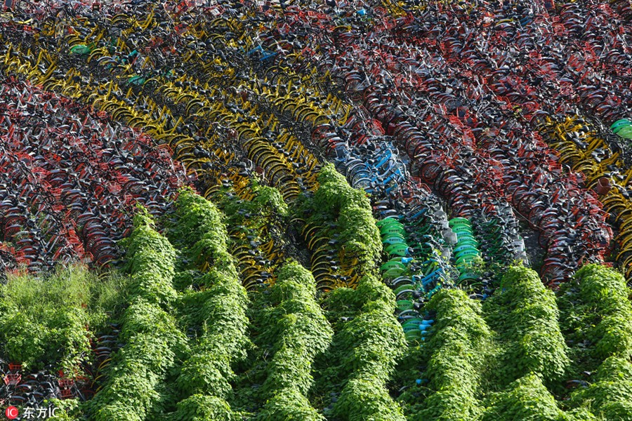 bikegraveyard.jpg