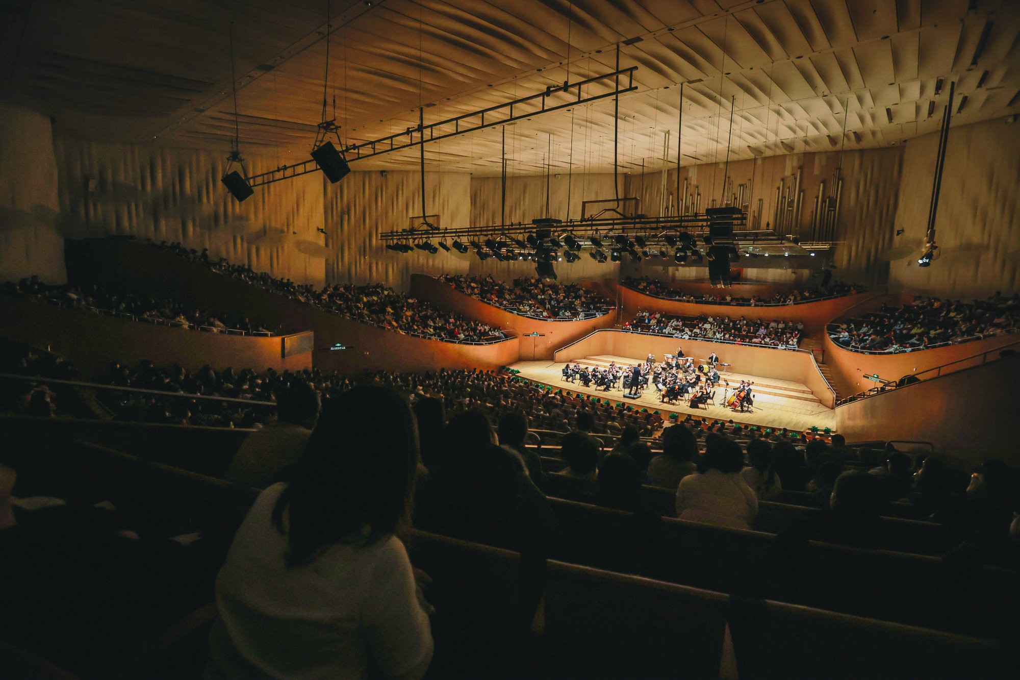 Vienna-Royal-Symphony-Orchestra-New-Year-s-Concert-2025-006.jpg