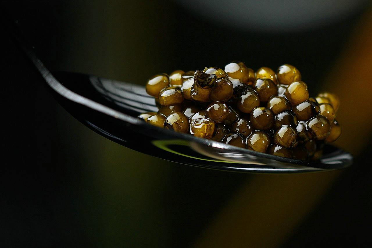 black-caviar-7472596_1280.jpg