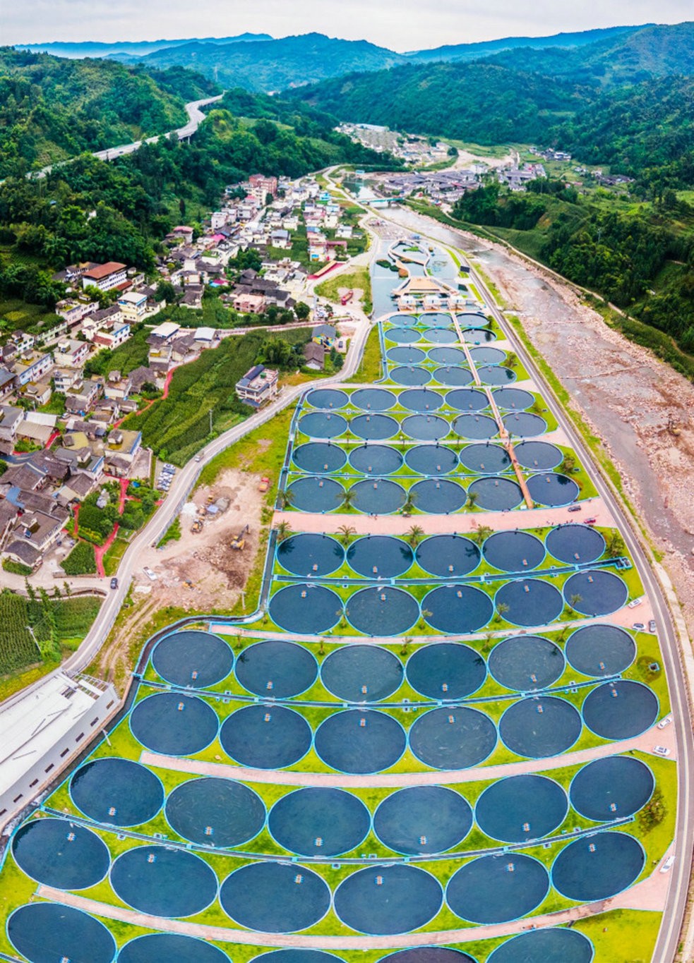 ecoyaan-Sichuan-caviar-farm.jpeg