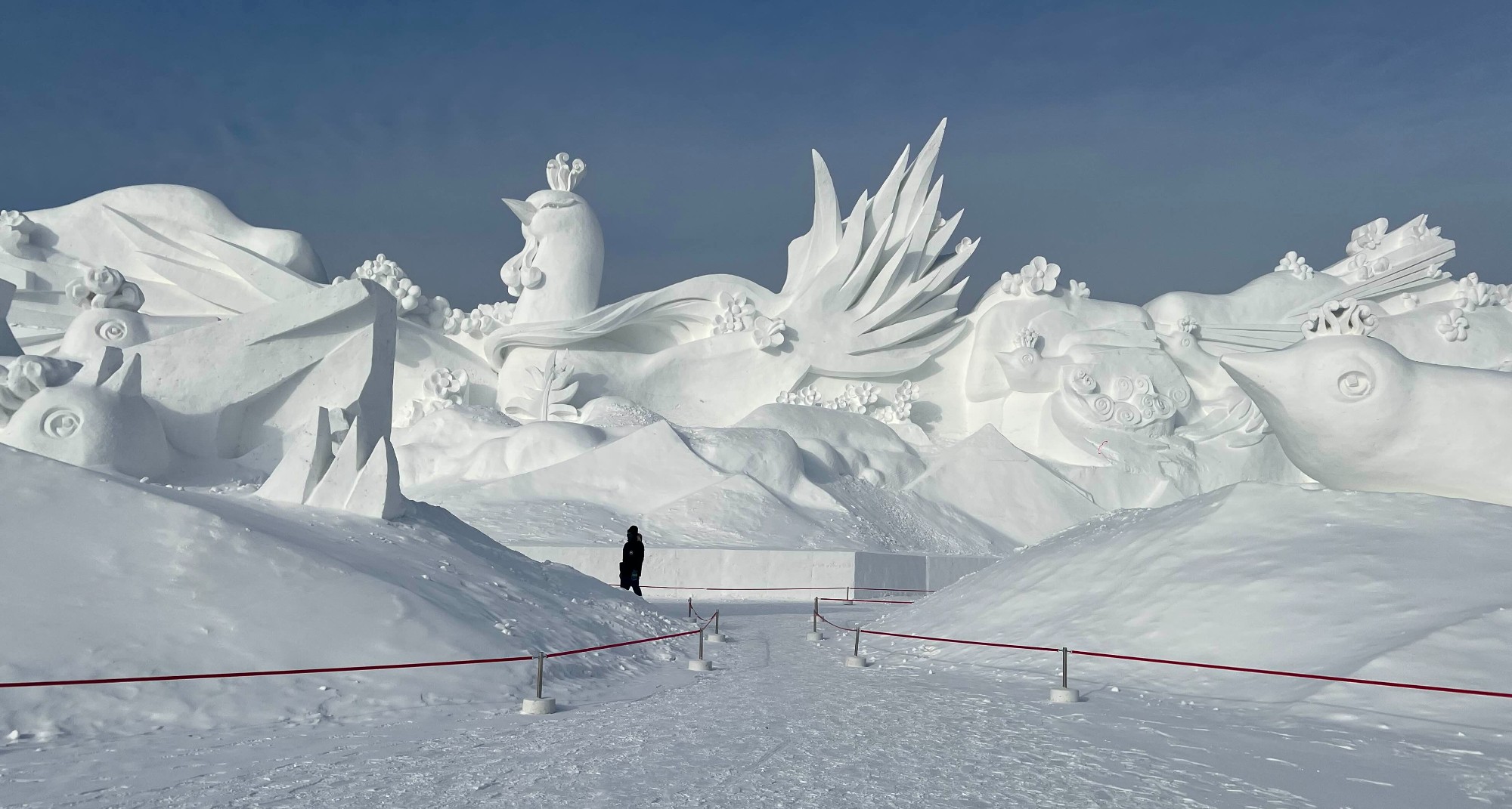 snowpark2.jpg