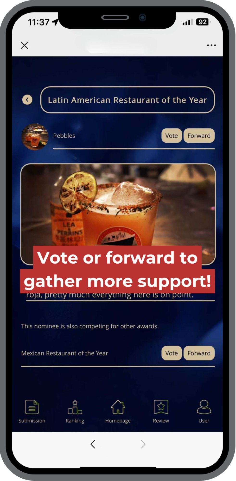 vote4.jpg