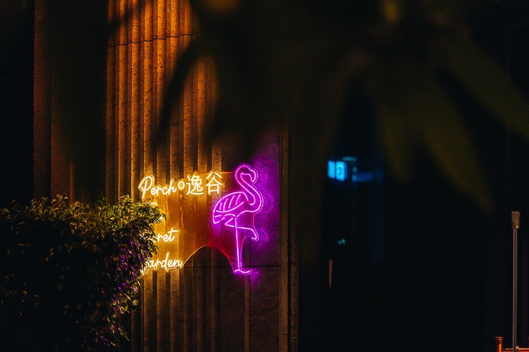 _20250320195132.jpg