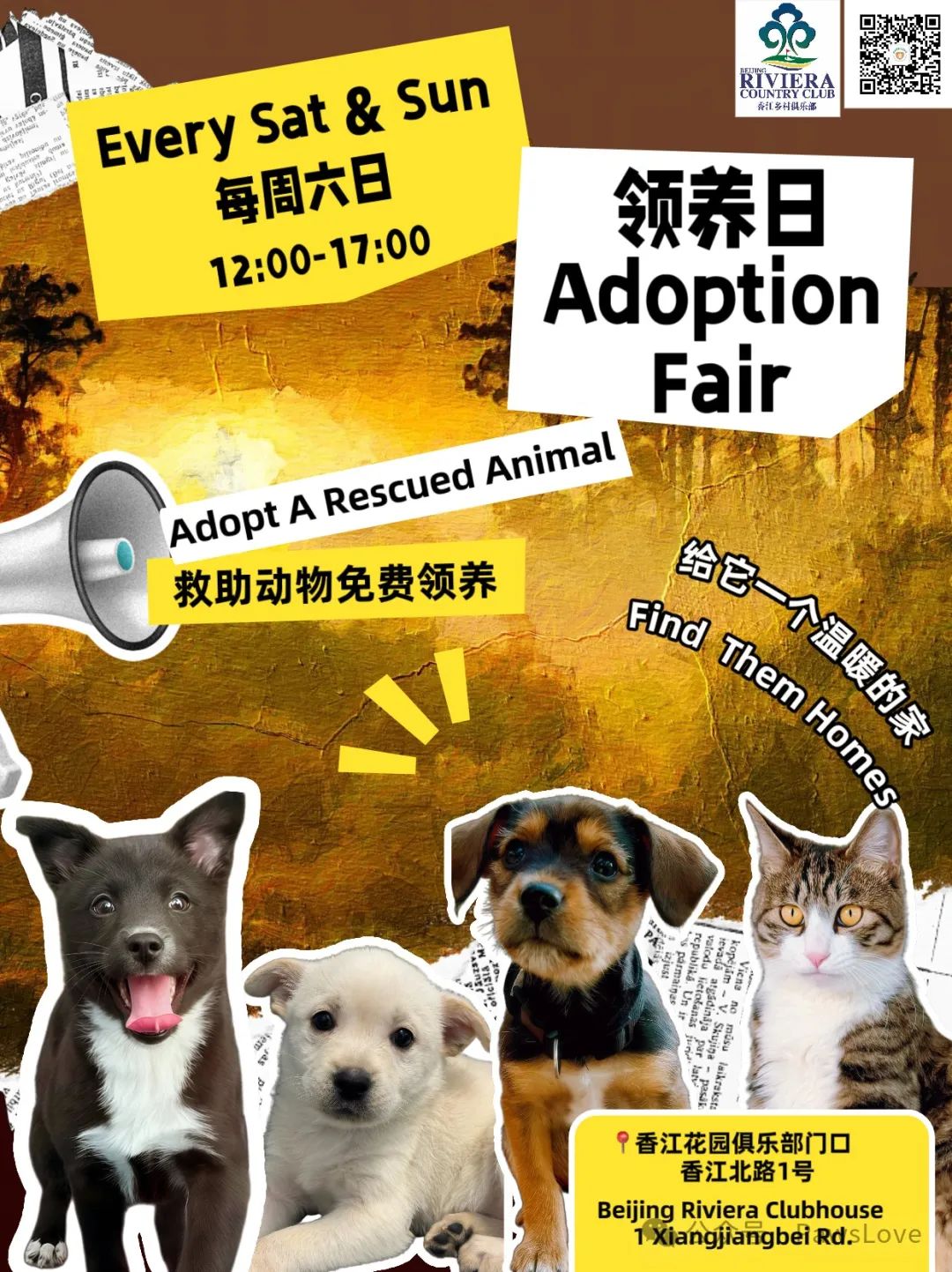 adoption.jpg