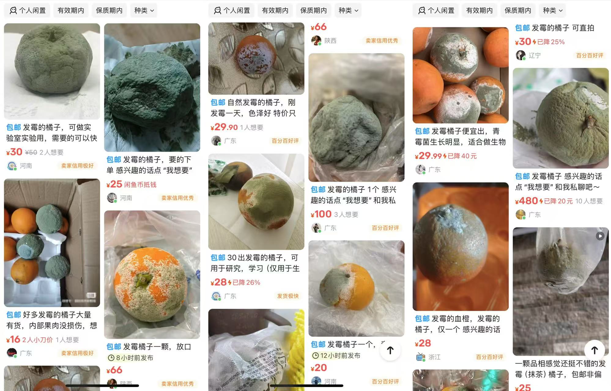 Xianyu-Moldy-Oranges.jpg