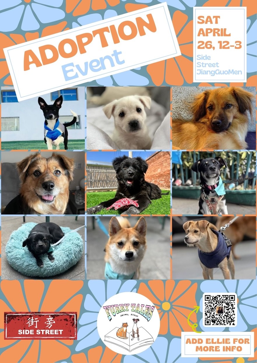 adoptionevent.jpg