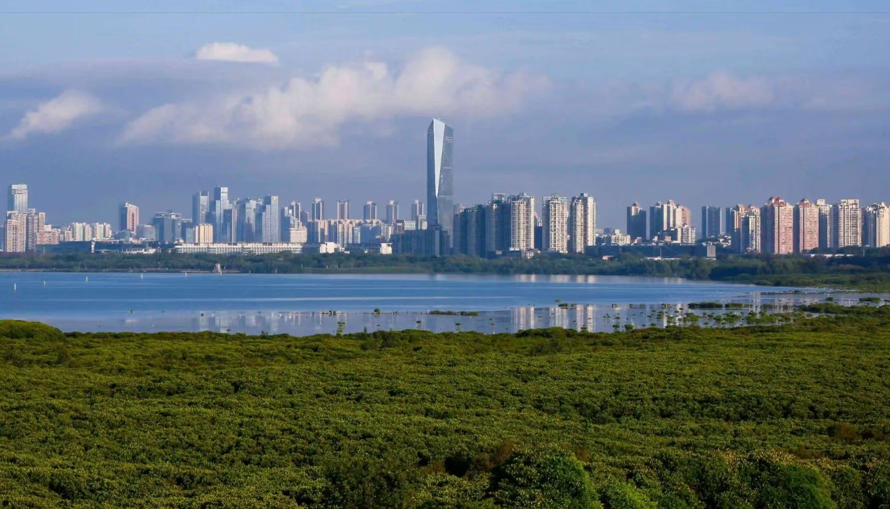 Shenzhen Wetlands Win International Recognition