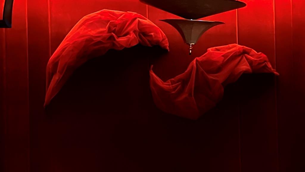 Organza-Textile-Detail-at-Asian-Flush.jpg