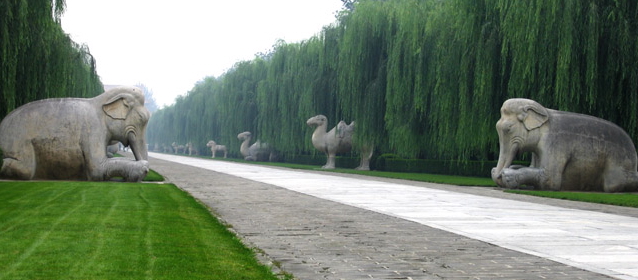 skjtravelway.jpg
