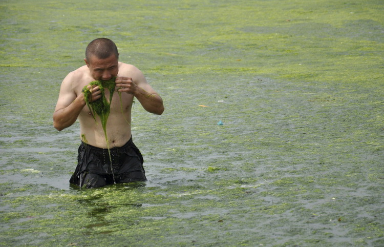 Qingdao locals enjoy the annual green algae waves