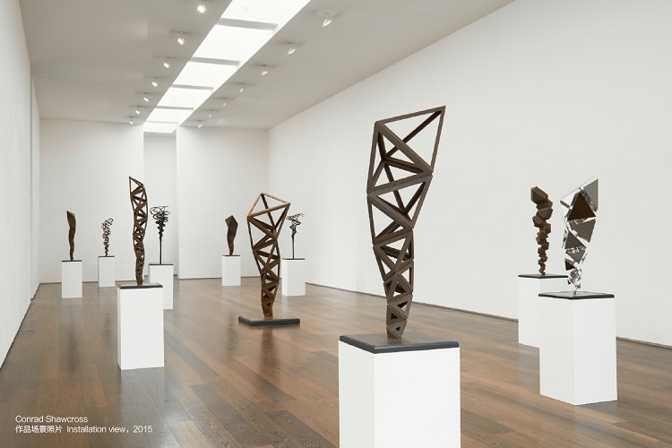 Conrad Shawcross