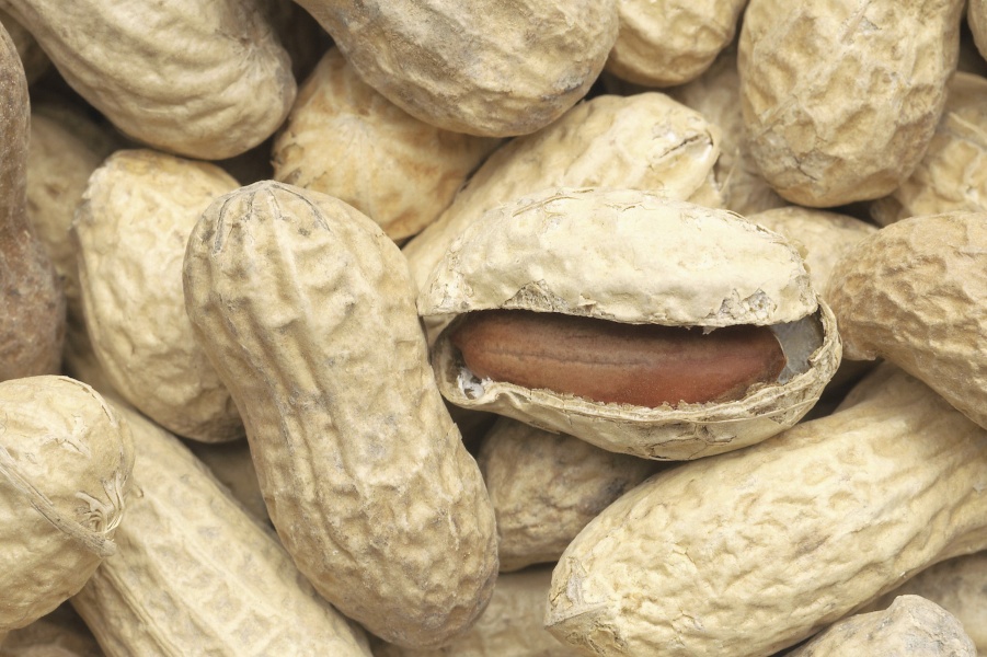 Peanut milk.