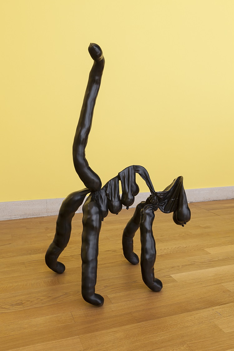 Sarah Lucas - Tit Cat Up